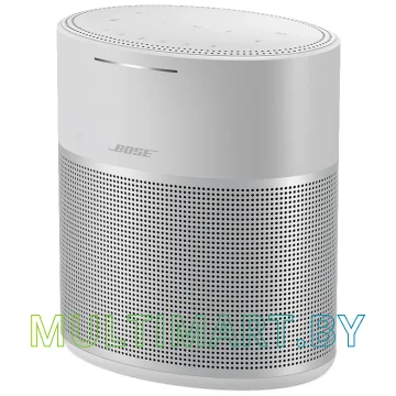 Умная колонка Bose Home Speaker 300 (серебристый)